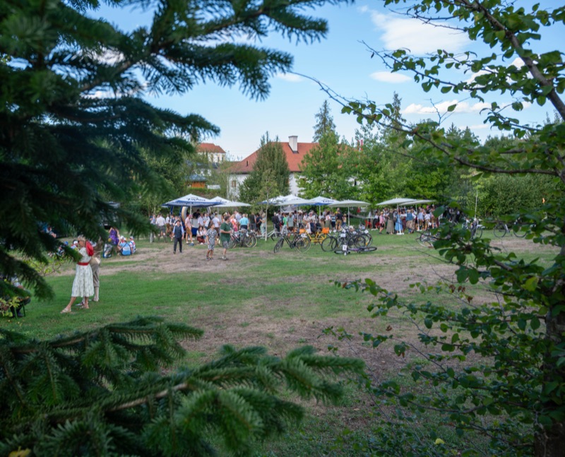 Blick auf die Festwiese mit Sonnenschirmen